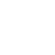 イベント・更新情報